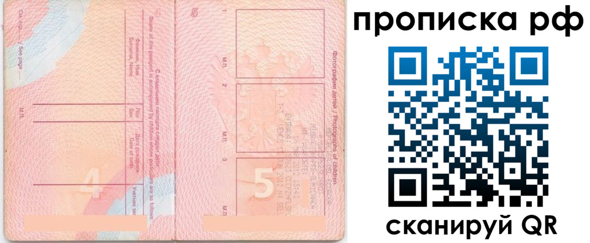 прописка иностранных граждан в Железногорске